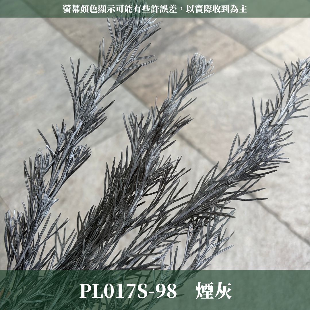 PL017S 銀樺經濟包｜不凋銀樺葉 永生花葉材 乾燥花 花藝配材 diy材料包 花藝批發 拍照道具 店面佈置 桌花材料
