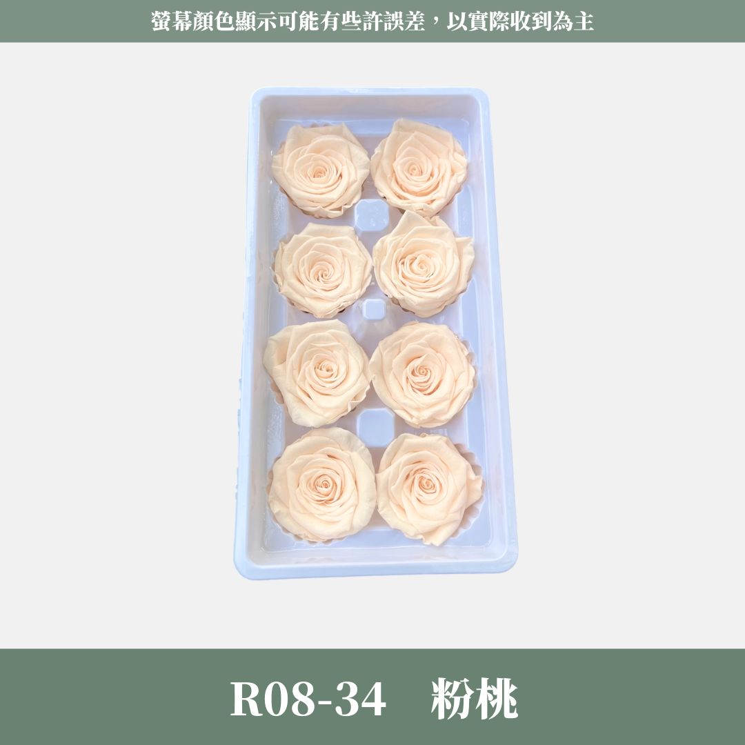 R08 A級八輪玫瑰｜約 4-5 cm｜花藝師必買 不凋大玫瑰花頭 永生玫瑰 香頌玫瑰 甦醒玫瑰 花束材料 捧花材料