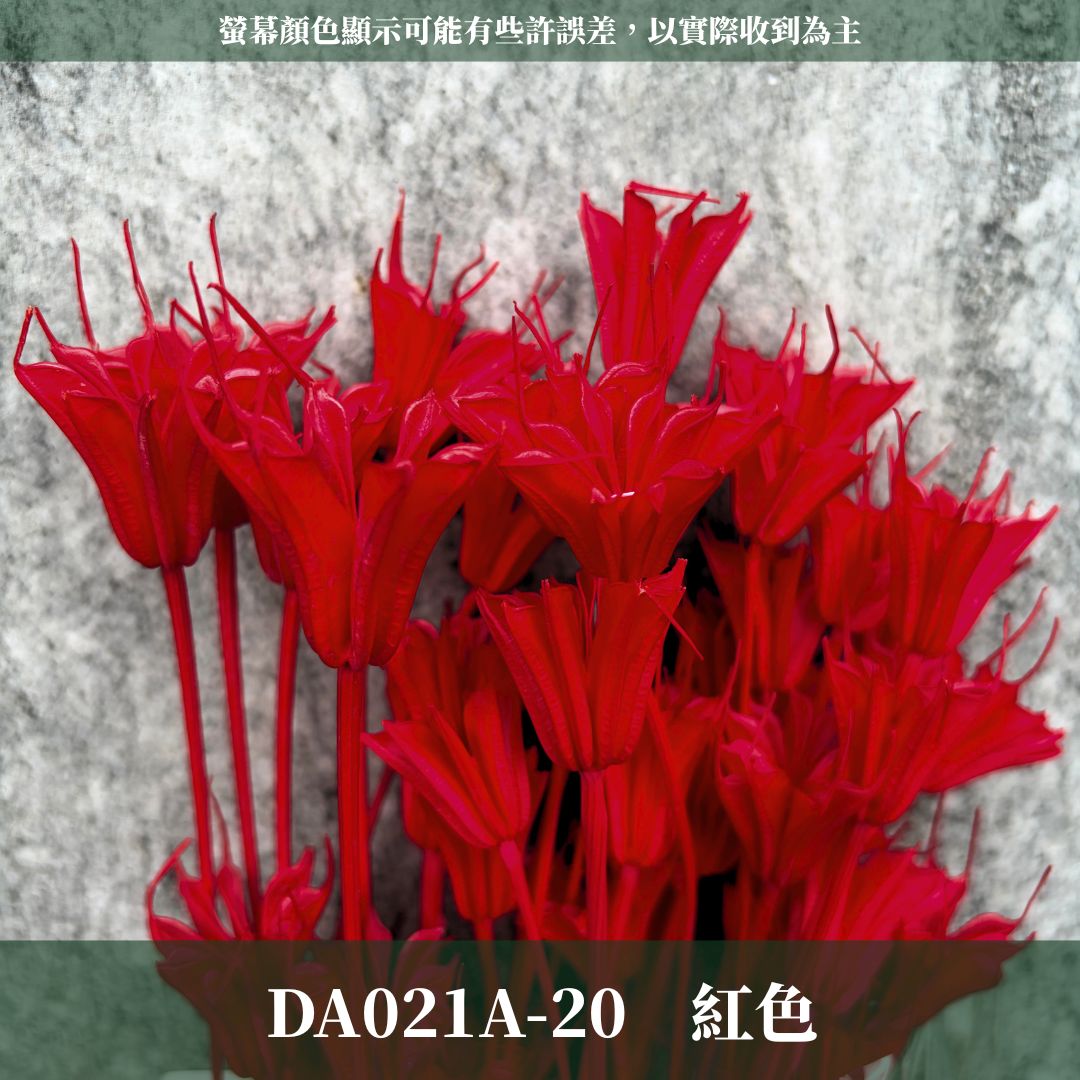 DA021A 原裝糖果色木百合｜乾燥小百合 八角花 乾燥花材 花束 裝飾 DIY插花 浮游花 蠟燭材料 手作拍照道具