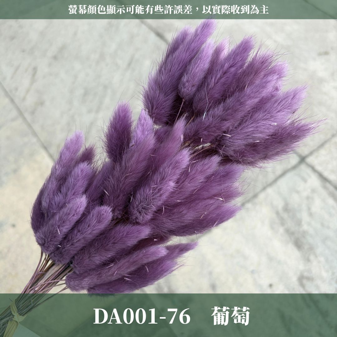 DA001 原裝兔尾草｜彩色兔尾草 乾燥永生花 花束花材 莫蘭迪色 插花DIY 拍照道具 乾燥兔尾草 乾燥花