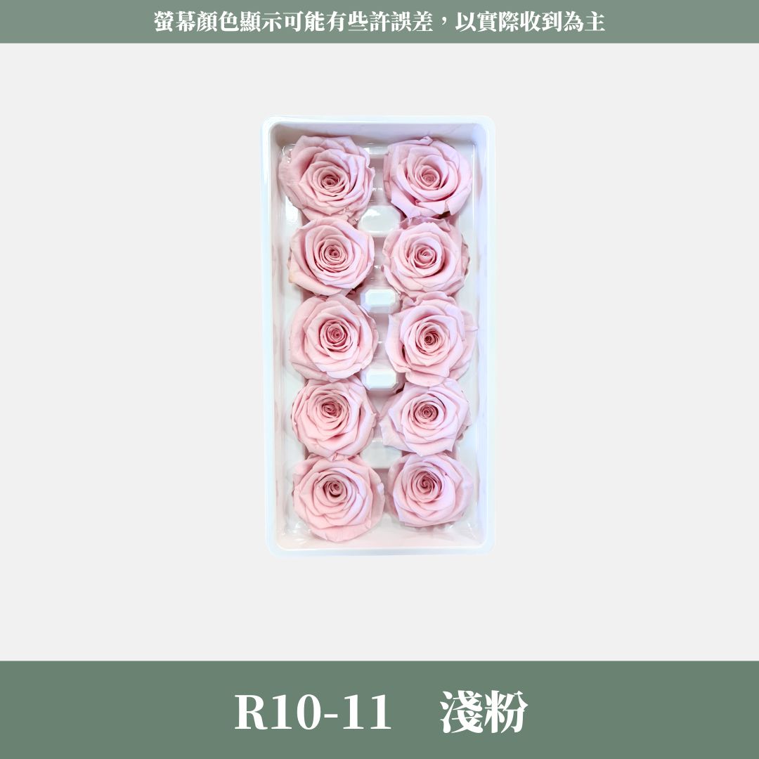 R10s A級十輪玫瑰｜買十朵省130元｜約 3-4 cm｜花藝師必買 不凋大玫瑰花頭 永生玫瑰 花束材料 捧花材料