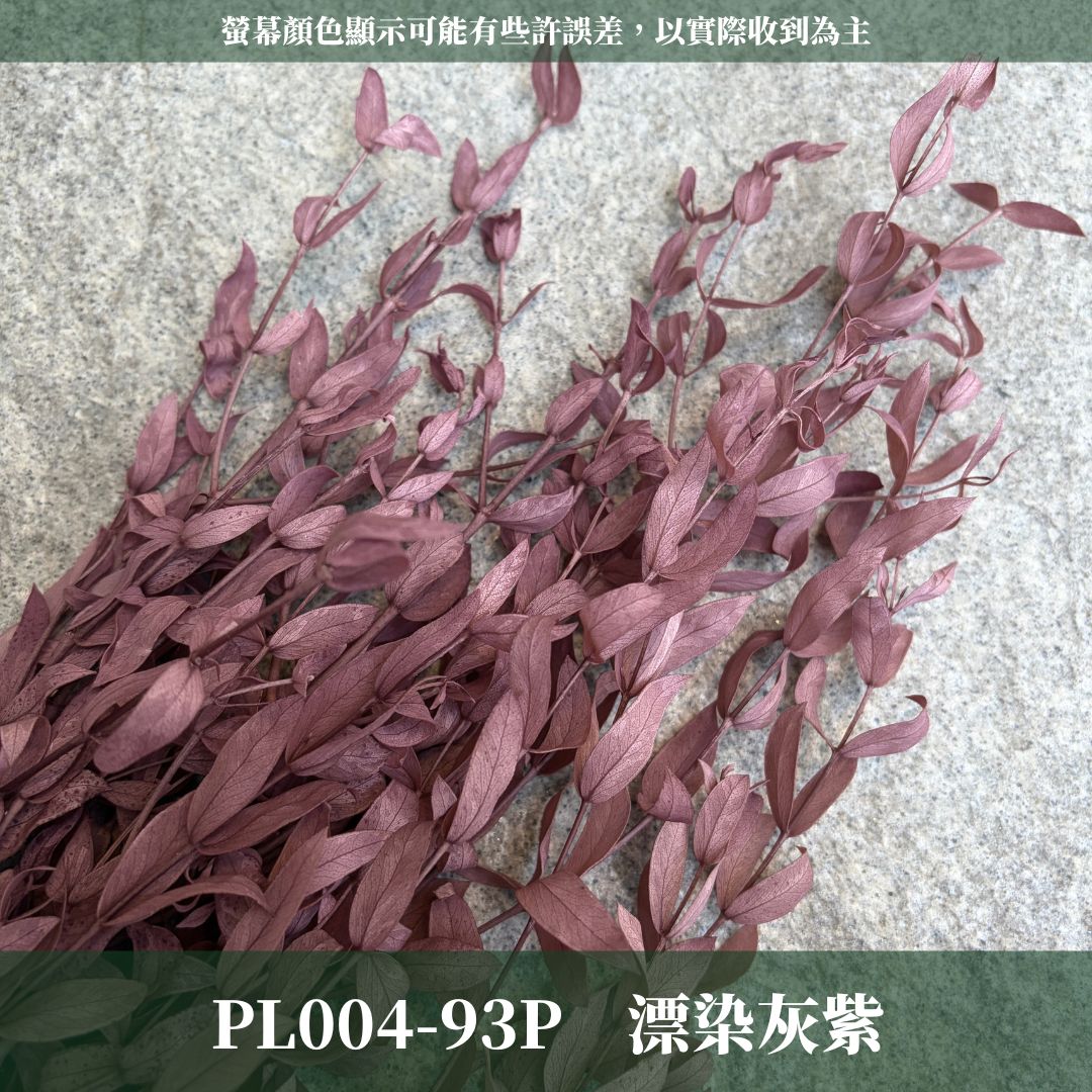 PL004 DL004 原裝細葉尤加利｜進口不凋細葉尤加利 乾燥花 永生花 不凋花 細葉尤加利 小葉尤加利 乾燥花束花材