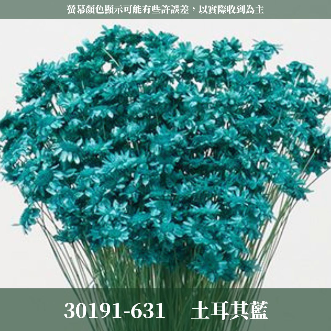 30191 日本小星花｜小星花 乾燥小星花 日本大地農園 進口花材 日本乾燥花 日本花材 スターフラワー・ブロッサム