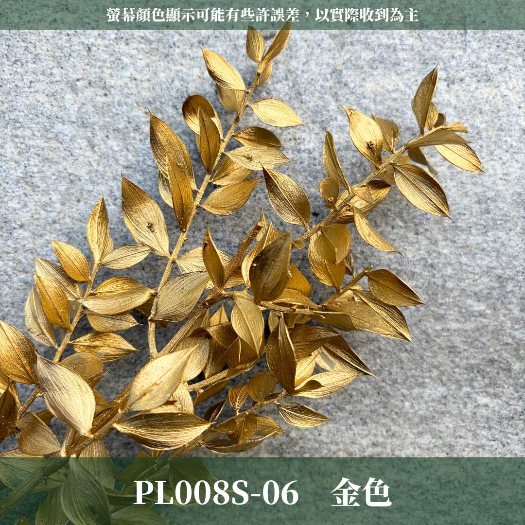 PL008S 永生富貴葉經濟包｜共五色！永生葉材 發財葉 批發價 乾燥花 永生花 熊貓竹 花藝材料 不凋花 小份量材料包