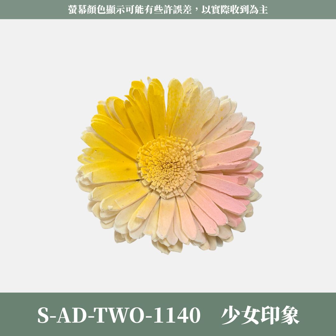 秋季感恩回饋｜S-AD-TWO 原裝雙色噴染太陽索拉花花頭｜限量款｜乾燥太陽花 索拉花 樹皮花 通草花 畢業乾燥向日葵