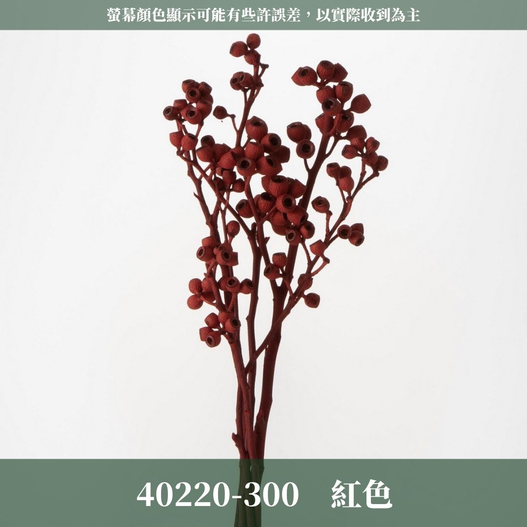 40220 原裝琥珀果｜アンバーナッツ 日本大地農園 日本進口果實花材 乾燥永生 帶桿果實 新年聖誕萬聖節 花圈桌花