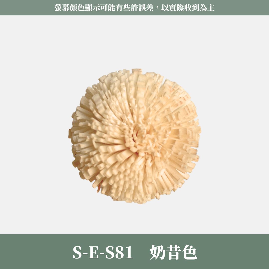 S-E 5CM乒乓菊索拉花｜五入原裝｜索拉花乾燥花 通草花 擴香花 微笑乒乓菊DIY 笑哈哈花束花材 乒乓花 乾燥花