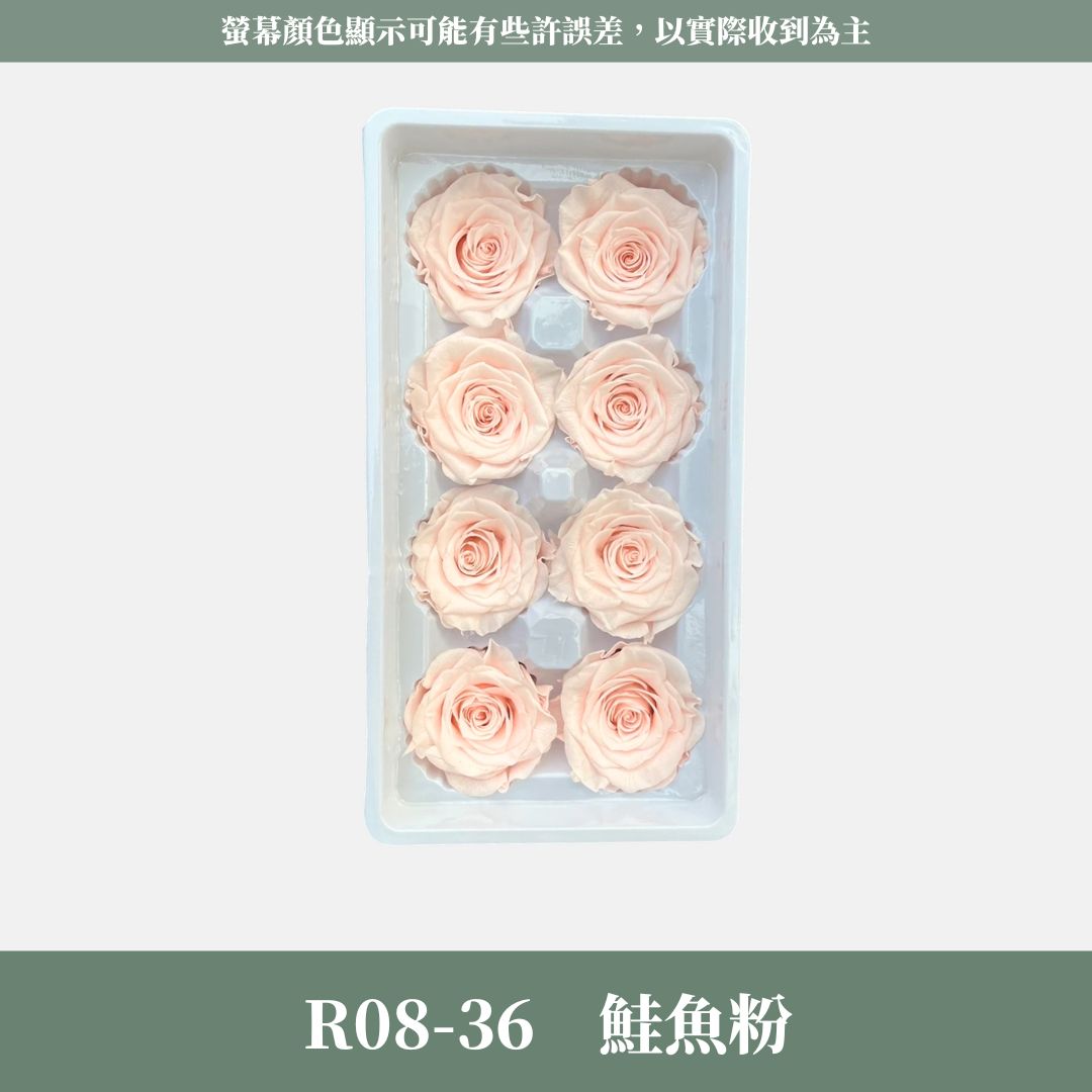 R08 A級八輪玫瑰｜約 4-5 cm｜花藝師必買 不凋大玫瑰花頭 永生玫瑰 香頌玫瑰 甦醒玫瑰 花束材料 捧花材料