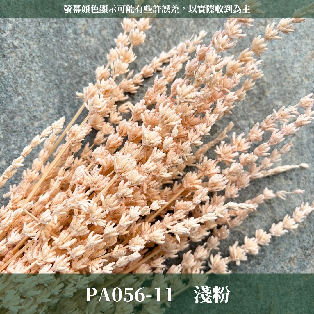 PA056 原裝薰衣草｜長梗永生薰衣草 染色薰衣草 有香味 香草植物 乾燥花 永生花 乾燥花花束 拍照道具背景 店內裝飾