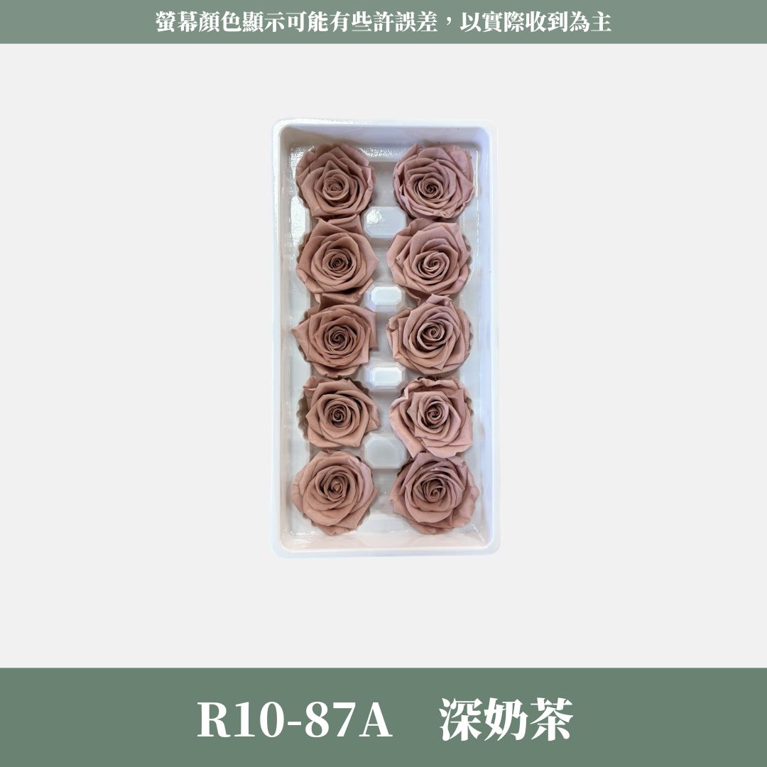 R10 A級十輪玫瑰｜約 3-4 cm｜花藝師必買 不凋大玫瑰花頭 永生玫瑰 香頌玫瑰 甦醒玫瑰 花束材料 捧花材料