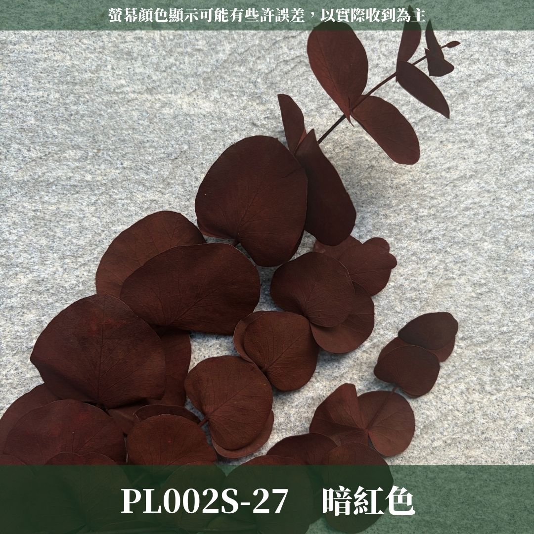 PL002S 大軟葉尤加利經濟包｜花藝獨家！特殊漸層尤加利 花材 葉材 永生花 乾燥花 不凋花花藝師用料 拍照道具花材