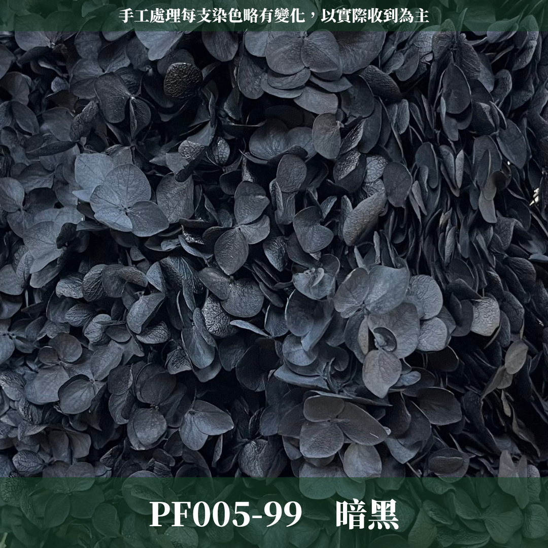PF005-S 安娜繡球經濟盒裝｜ A級 漸層繡球 紫陽花 永生花 不凋花 乾燥花 DIY花材 拍攝道具 蜉蝣花花材