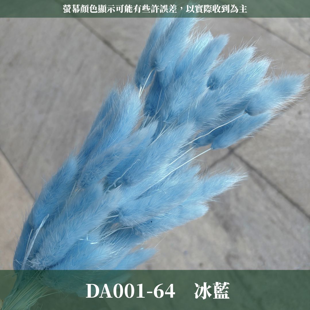 DA001 原裝兔尾草｜彩色兔尾草 乾燥永生花 花束花材 莫蘭迪色 插花DIY 拍照道具 乾燥兔尾草 乾燥花