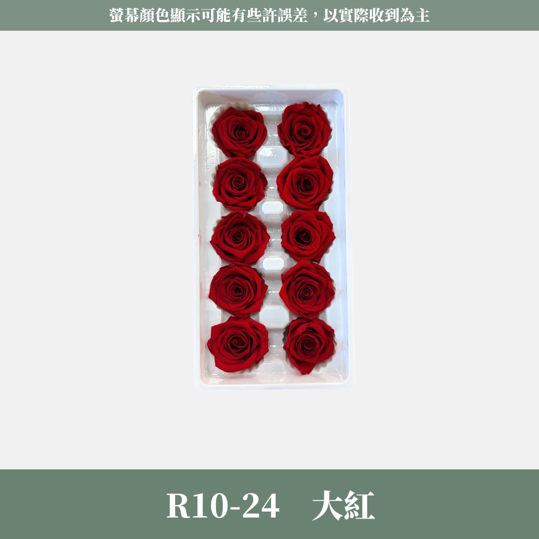R10s A級十輪玫瑰｜買十朵省130元｜約 3-4 cm｜花藝師必買 不凋大玫瑰花頭 永生玫瑰 花束材料 捧花材料