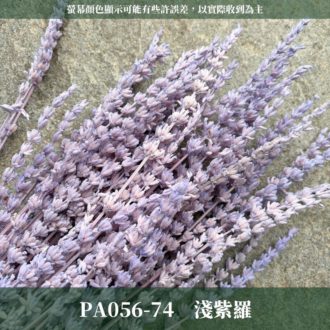 PA056 原裝薰衣草｜長梗永生薰衣草 染色薰衣草 有香味 香草植物 乾燥花 永生花 乾燥花花束 拍照道具背景 店內裝飾