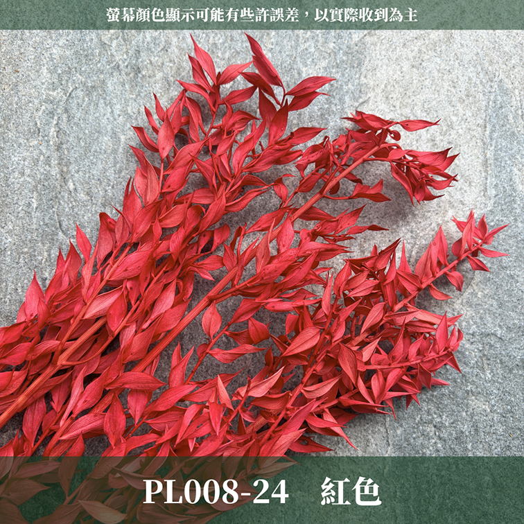 PL008 原裝永生富貴葉｜共五色！永生葉材 批發價 金色富貴葉 銀色富貴葉 乾燥花 永生花 熊貓竹 花藝材料 不凋花