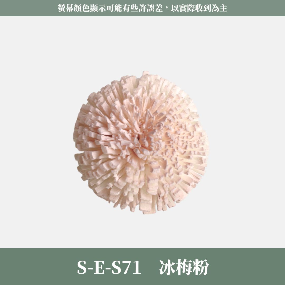 S-E 5CM乒乓菊索拉花｜五入原裝｜索拉花乾燥花 通草花 擴香花 微笑乒乓菊DIY 笑哈哈花束花材 乒乓花 乾燥花