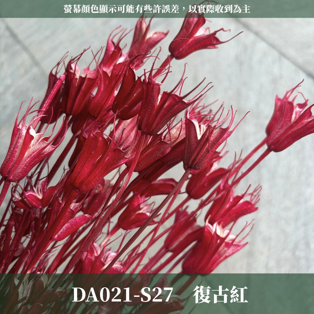 DA021 原裝木百合｜乾燥小百合 八角花 乾燥花材 花束 裝飾 DIY插花 浮游花 蠟燭材料 手作拍照道具 台灣現貨