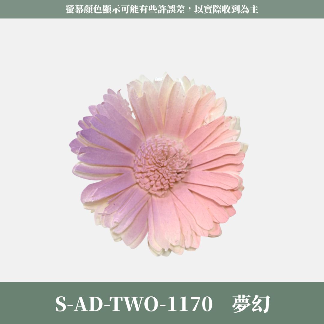 秋季感恩回饋｜S-AD-TWO 原裝雙色噴染太陽索拉花花頭｜限量款｜乾燥太陽花 索拉花 樹皮花 通草花 畢業乾燥向日葵