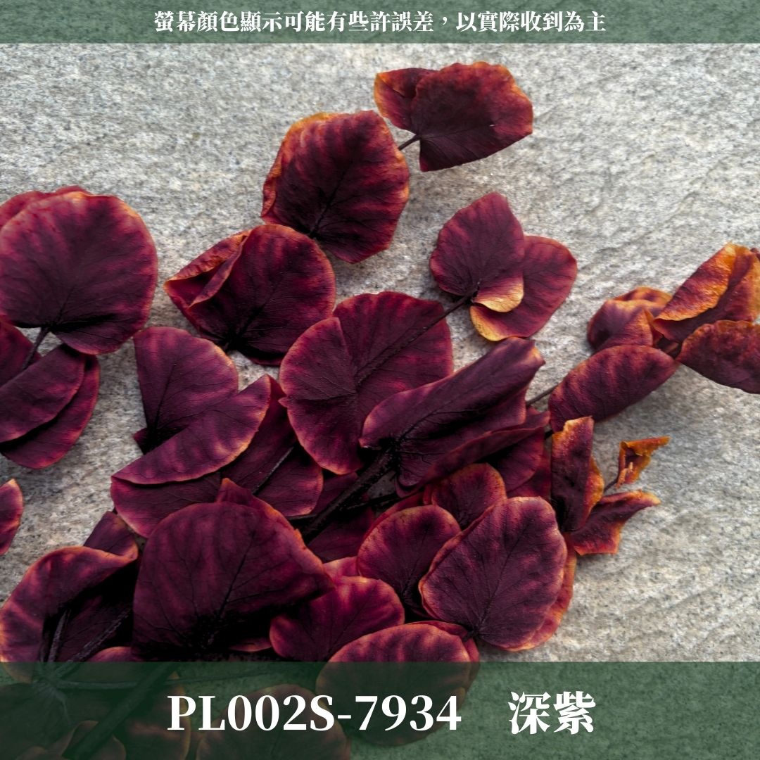 PL002S 大軟葉尤加利經濟包｜花藝獨家！特殊漸層尤加利 花材 葉材 永生花 乾燥花 不凋花花藝師用料 拍照道具花材