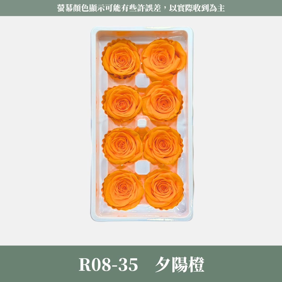R08 A級八輪玫瑰｜約 4-5 cm｜花藝師必買 不凋大玫瑰花頭 永生玫瑰 香頌玫瑰 甦醒玫瑰 花束材料 捧花材料