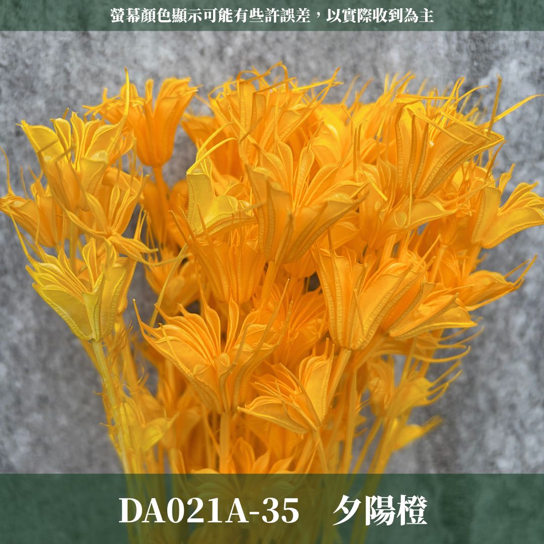 DA021A 原裝糖果色木百合｜乾燥小百合 八角花 乾燥花材 花束 裝飾 DIY插花 浮游花 蠟燭材料 手作拍照道具
