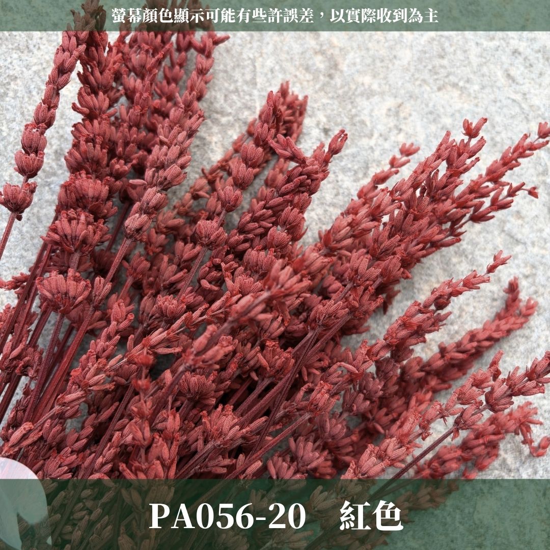 PA056 原裝薰衣草｜長梗永生薰衣草 染色薰衣草 有香味 香草植物 乾燥花 永生花 乾燥花花束 拍照道具背景 店內裝飾