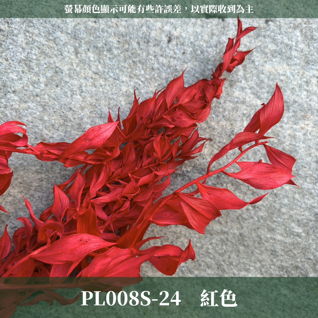 PL008S 永生富貴葉經濟包｜共五色！永生葉材 發財葉 批發價 乾燥花 永生花 熊貓竹 花藝材料 不凋花 小份量材料包