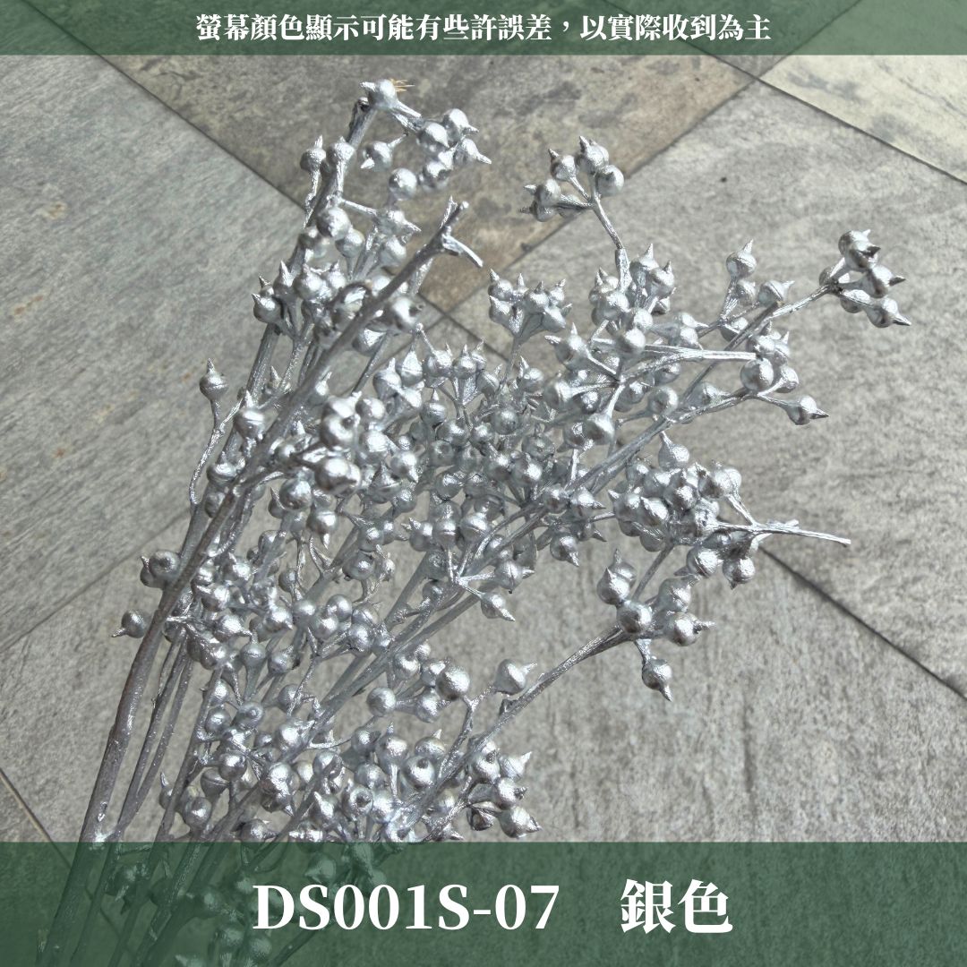 PS001s DS001s 小米果經濟包｜小米尤加利 尤加利果 桉樹果 永生花 乾燥花 居家裝飾花材 手作花材 花藝設計