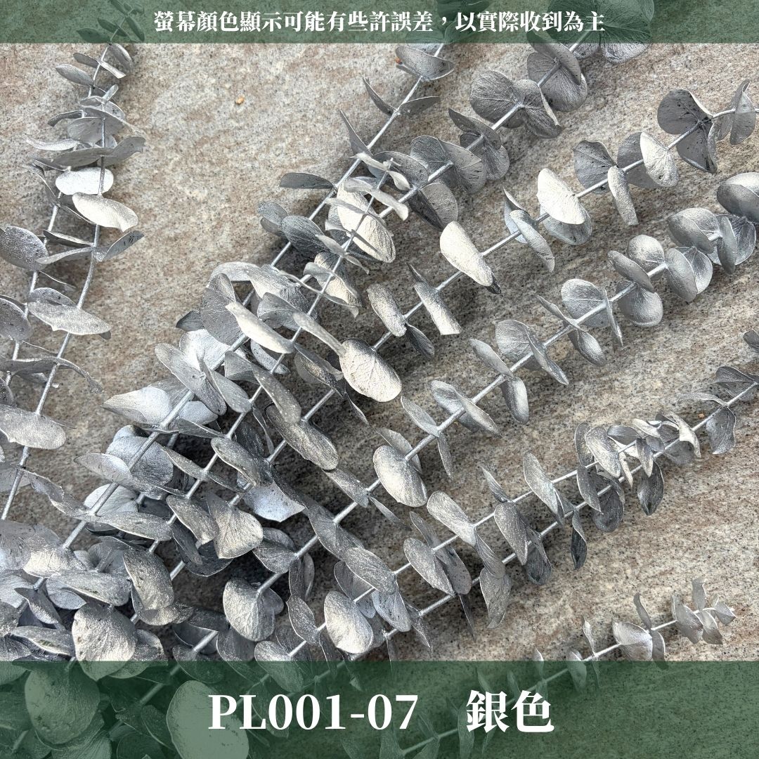 PL001 原裝寶貝尤加利｜不凋寶貝尤加利葉 小圓葉 永生花 染色尤加利 錢銅草 攝影道具 新娘捧花 乾燥花批發 捧花