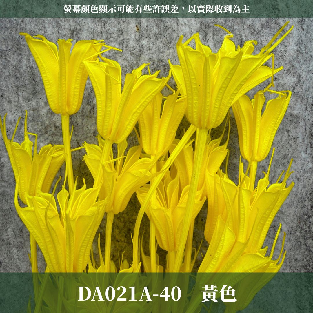 DA021A 原裝糖果色木百合｜乾燥小百合 八角花 乾燥花材 花束 裝飾 DIY插花 浮游花 蠟燭材料 手作拍照道具
