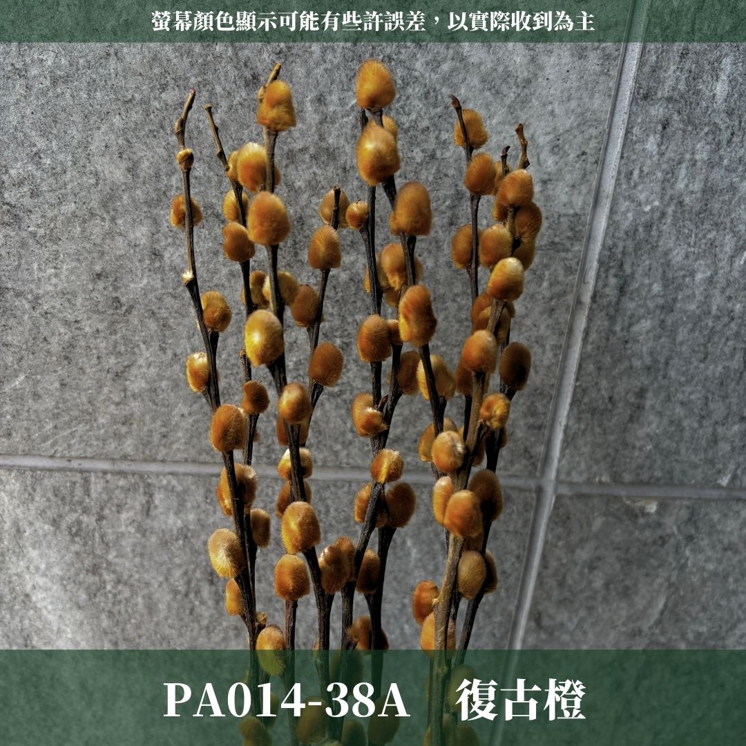 PA014 原裝銀柳｜招財永生銀柳枝條 彩色貓柳 染色細柱柳 春節花禮 過年花材 節氣佈置 年宵花 乾燥花