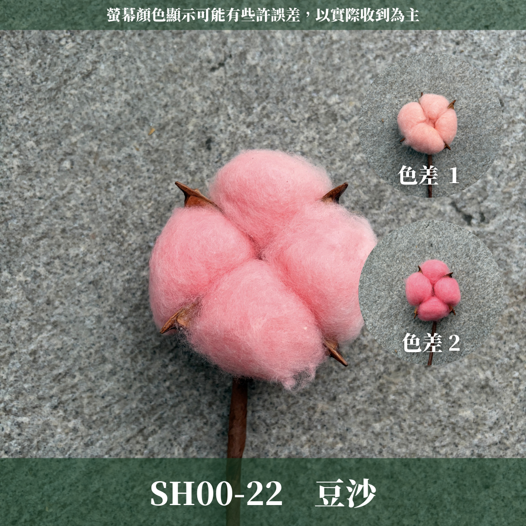 SH00s 棉花單支｜12+6種顏色 特殊五辦棉花特殊款 白色棉花 天然棉花 乾燥花 花藝 多色棉花 棉花 手工花 裝飾