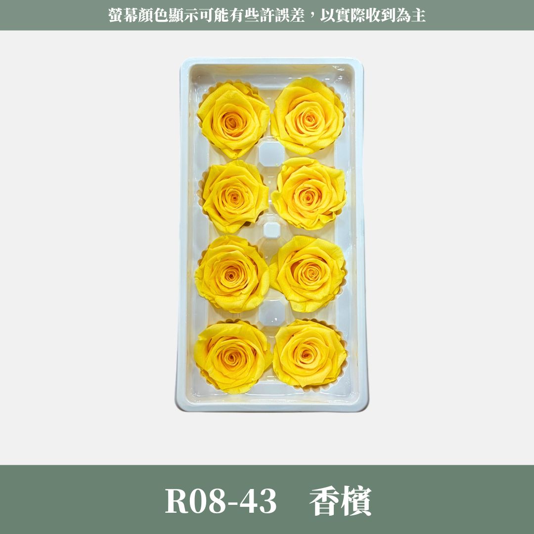 R08 A級八輪玫瑰｜約 4-5 cm｜花藝師必買 不凋大玫瑰花頭 永生玫瑰 香頌玫瑰 甦醒玫瑰 花束材料 捧花材料