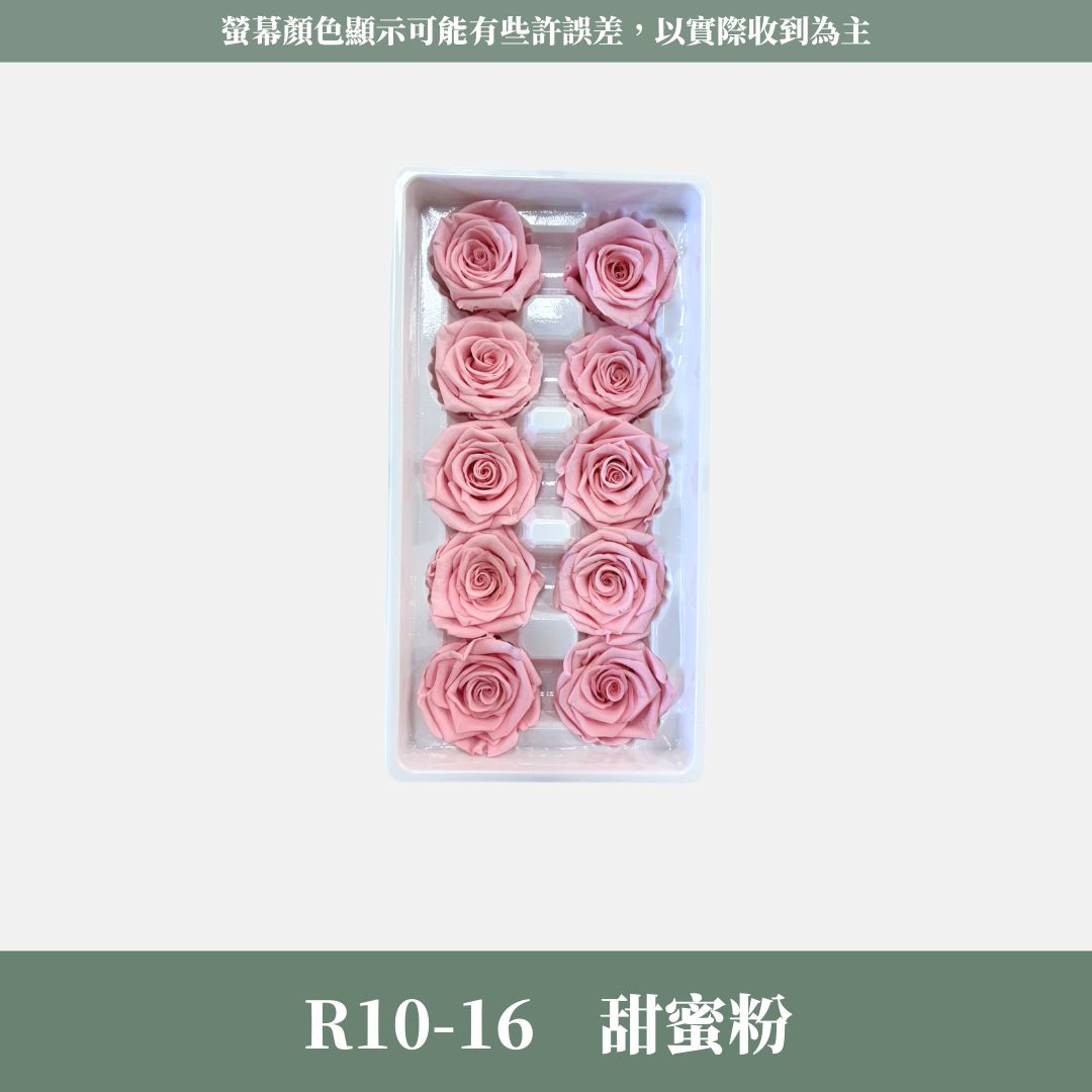 R10s A級十輪玫瑰｜買十朵省130元｜約 3-4 cm｜花藝師必買 不凋大玫瑰花頭 永生玫瑰 花束材料 捧花材料