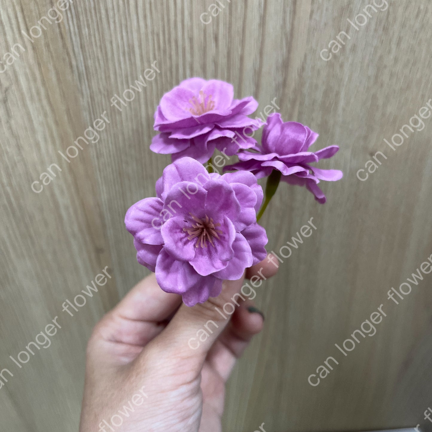 ✿ 台灣現貨 ✿ AS005 櫻花單朵 香皂花