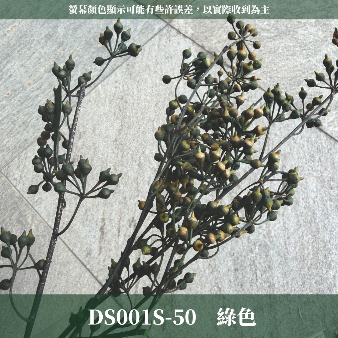 PS001s DS001s 小米果經濟包｜小米尤加利 尤加利果 桉樹果 永生花 乾燥花 居家裝飾花材 手作花材 花藝設計