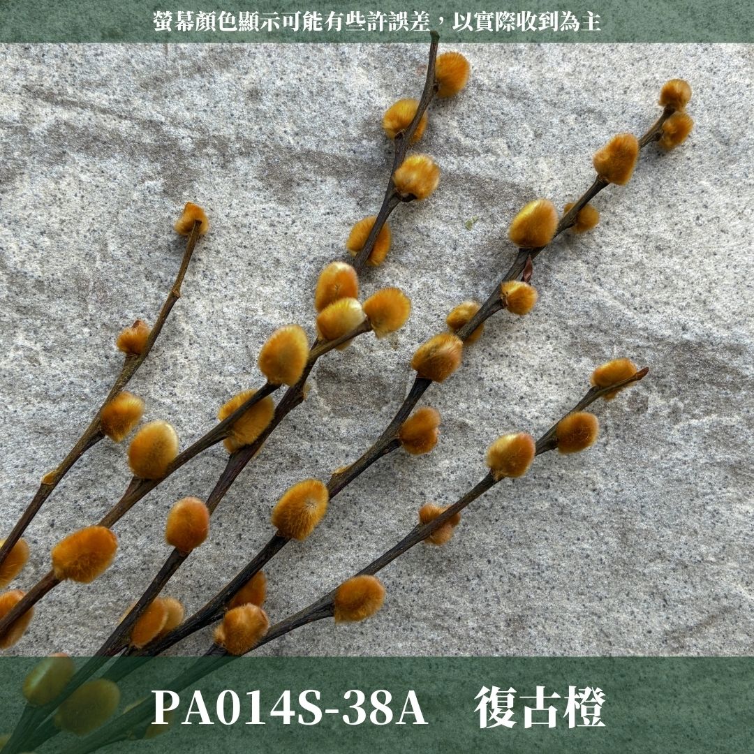 PA014S 銀柳經濟包｜招財永生銀柳枝條 彩色貓柳 染色細柱柳 春節花禮 過年花材 節氣佈置 年宵花 乾燥花