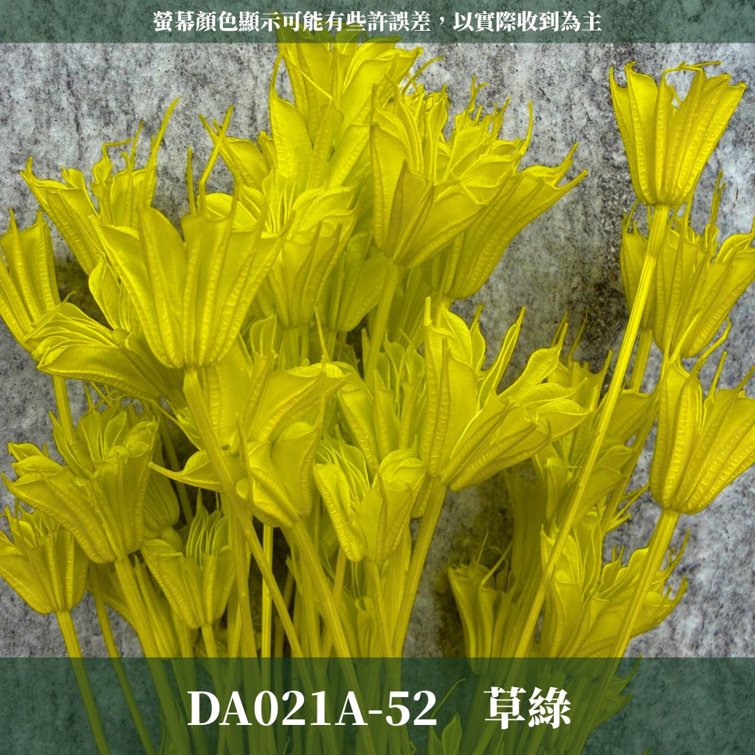 DA021A 原裝糖果色木百合｜乾燥小百合 八角花 乾燥花材 花束 裝飾 DIY插花 浮游花 蠟燭材料 手作拍照道具