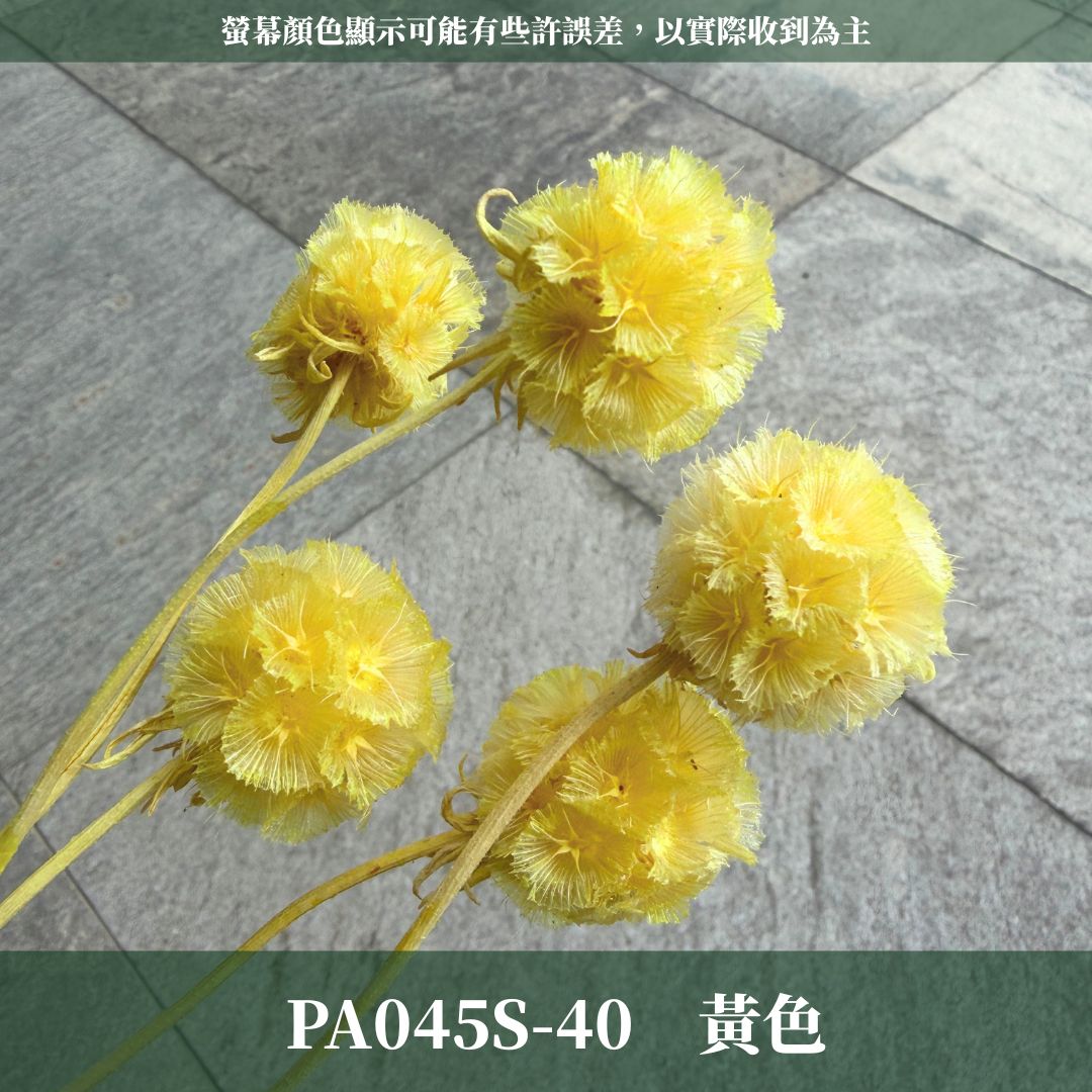 PA045S 松蟲果經濟包｜永生風車果 松蟲草 天然乾燥花材 拍攝道具 星芒松蟲 永生花草星花 輪峰菊 藍盆花 花藝果實