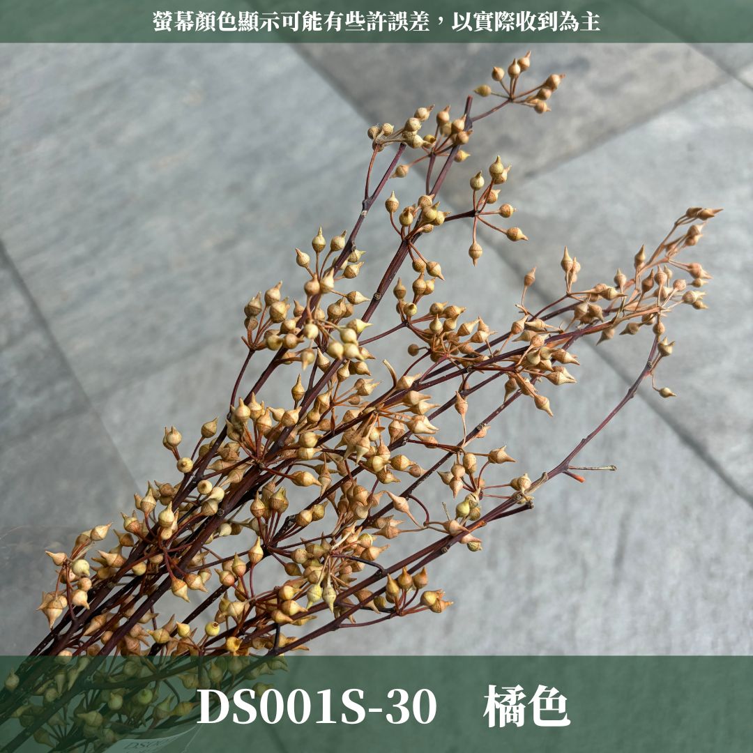 PS001s DS001s 小米果經濟包｜小米尤加利 尤加利果 桉樹果 永生花 乾燥花 居家裝飾花材 手作花材 花藝設計