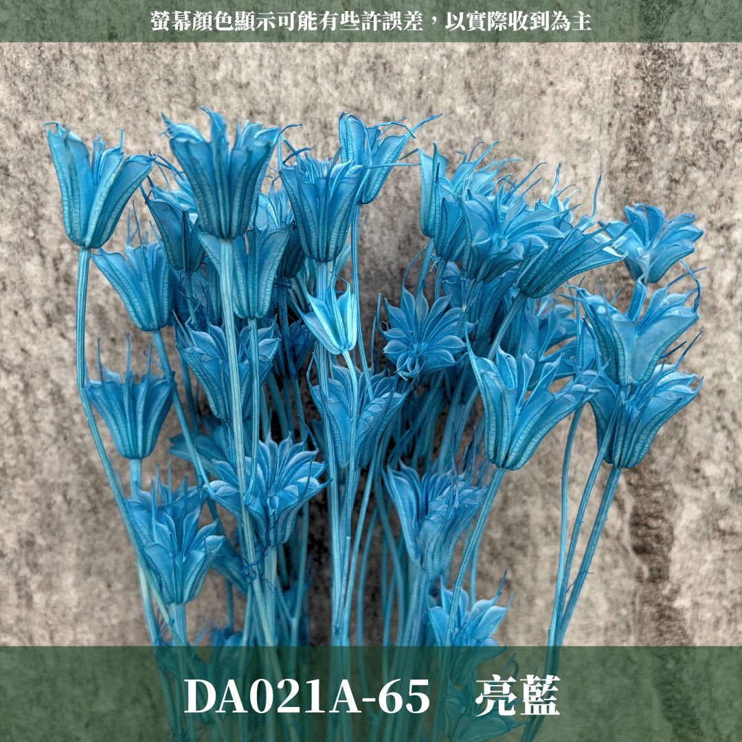 DA021A 原裝糖果色木百合｜乾燥小百合 八角花 乾燥花材 花束 裝飾 DIY插花 浮游花 蠟燭材料 手作拍照道具