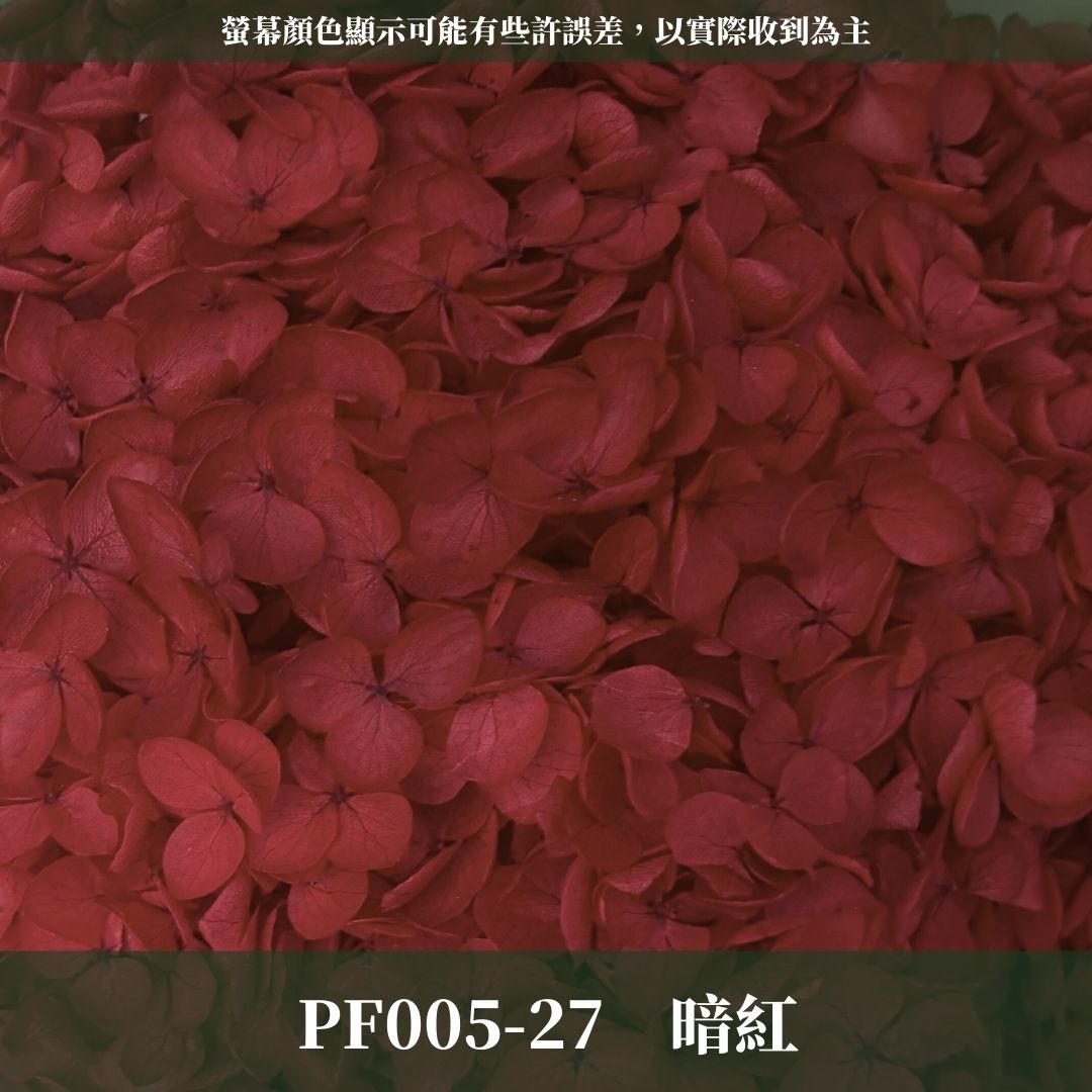 PF005-S 安娜繡球經濟盒裝｜ A級 漸層繡球 紫陽花 永生花 不凋花 乾燥花 DIY花材 拍攝道具 蜉蝣花花材