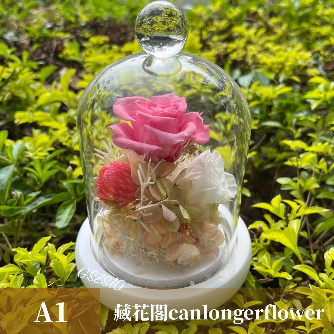 GSZS10 粉色系永生罩盅S