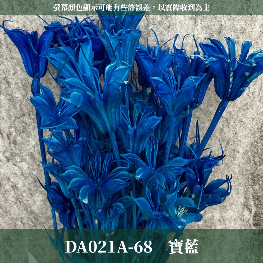 DA021A 原裝糖果色木百合｜乾燥小百合 八角花 乾燥花材 花束 裝飾 DIY插花 浮游花 蠟燭材料 手作拍照道具