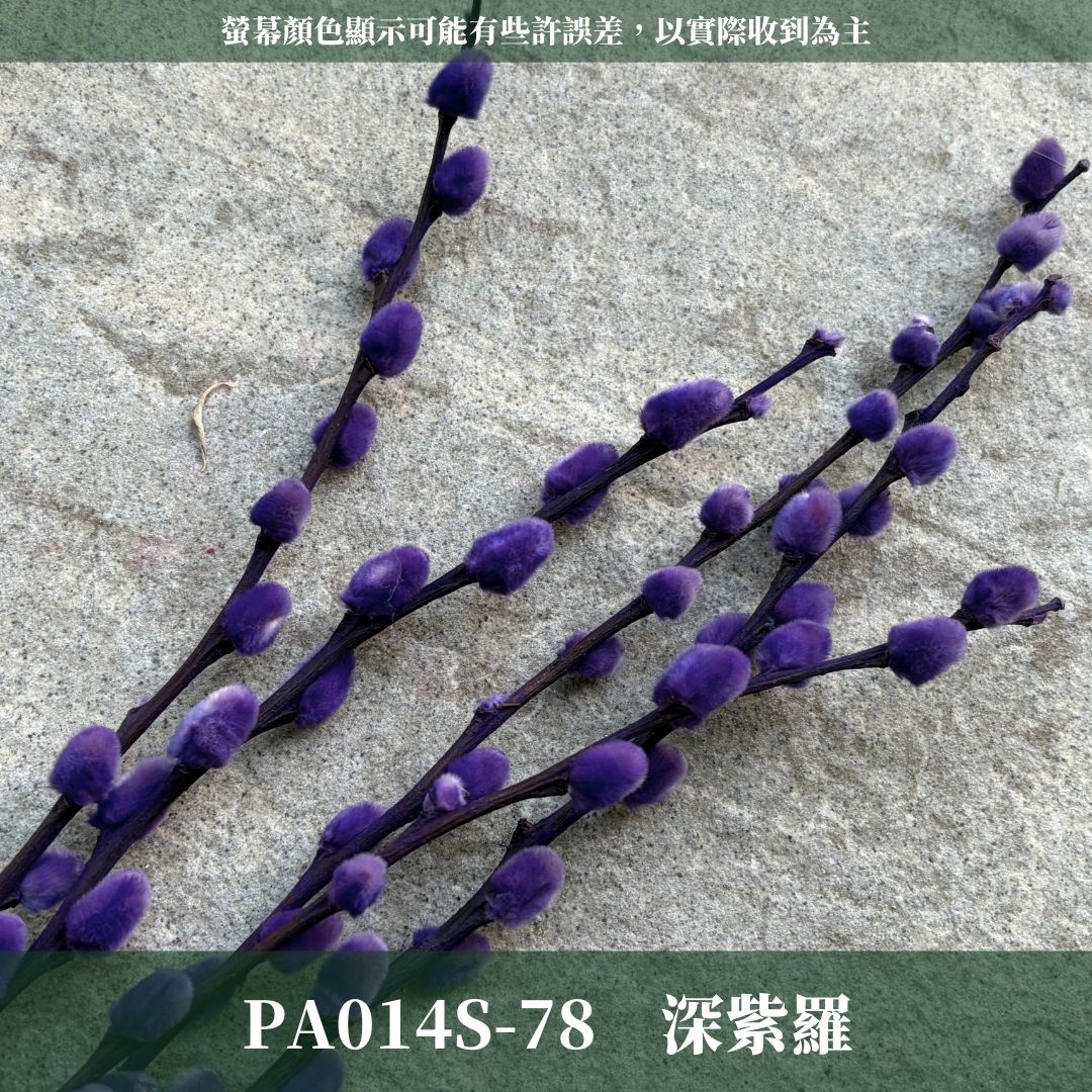 PA014S 銀柳經濟包｜招財永生銀柳枝條 彩色貓柳 染色細柱柳 春節花禮 過年花材 節氣佈置 年宵花 乾燥花
