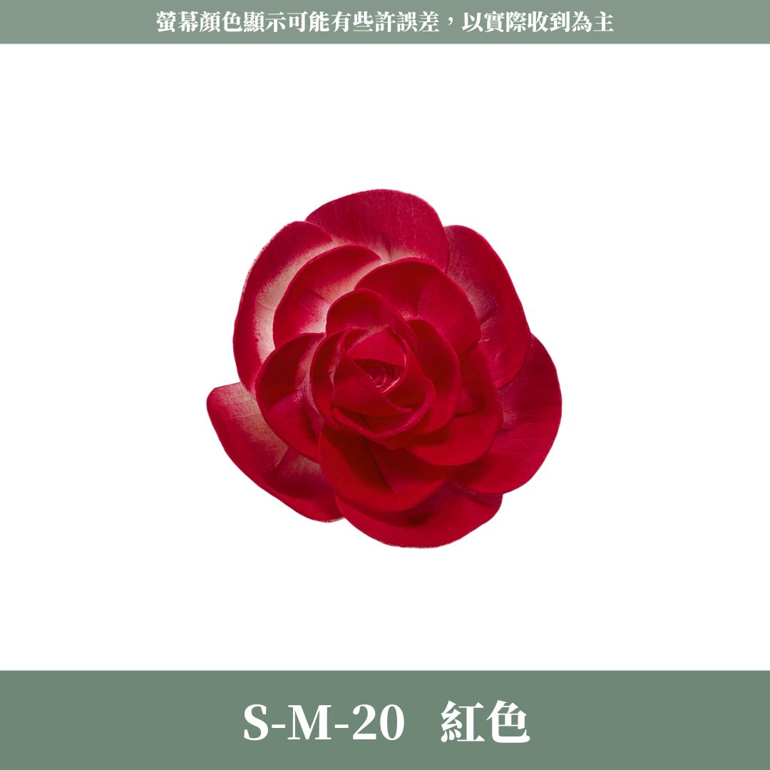 S-M 8CM天使玫瑰索拉花｜五入原裝｜通草花 擴香花 天使玫瑰 進口玫瑰 乾燥花禮禮物 畢業花束DIY 乾燥花 永生花