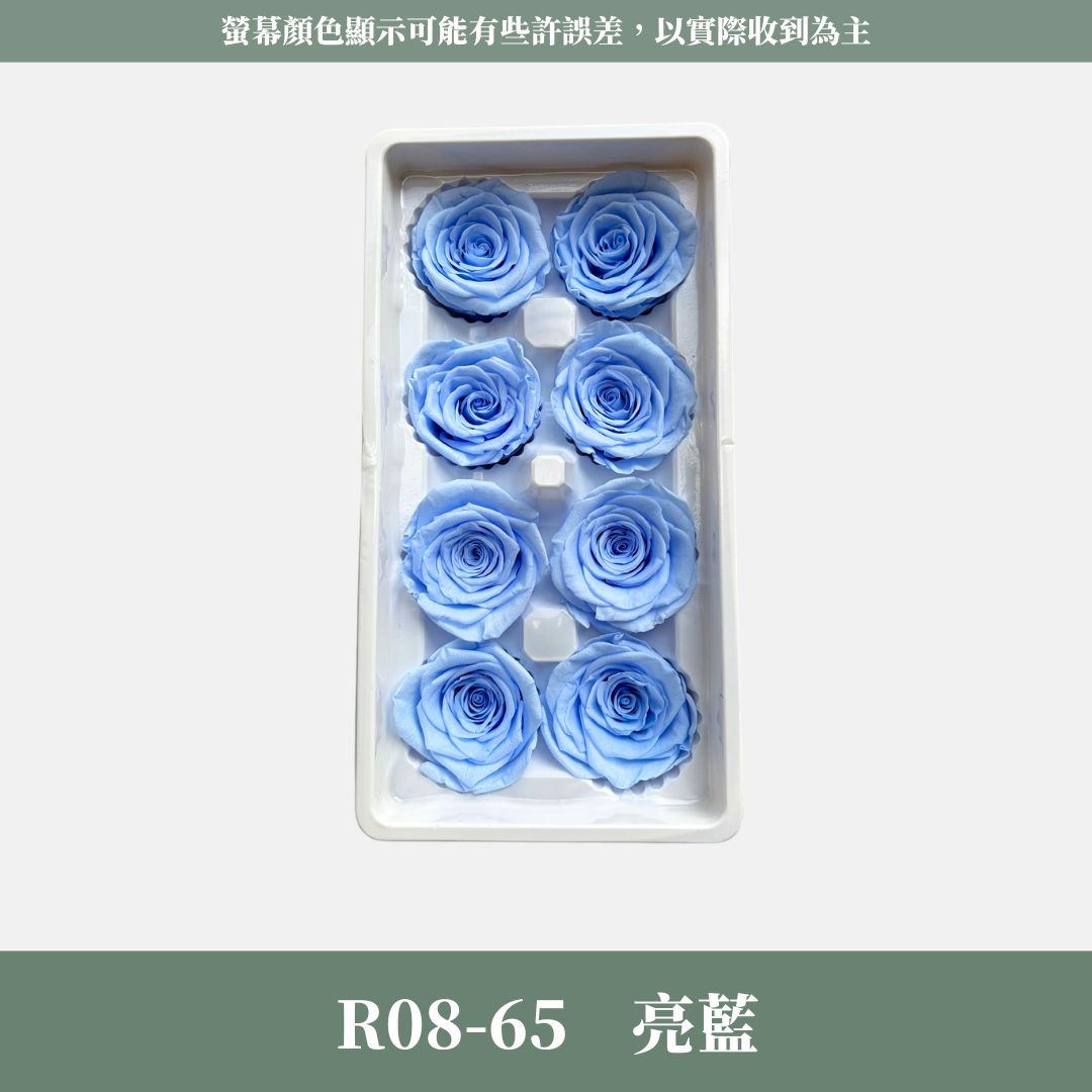 R08 A級八輪玫瑰｜約 4-5 cm｜花藝師必買 不凋大玫瑰花頭 永生玫瑰 香頌玫瑰 甦醒玫瑰 花束材料 捧花材料