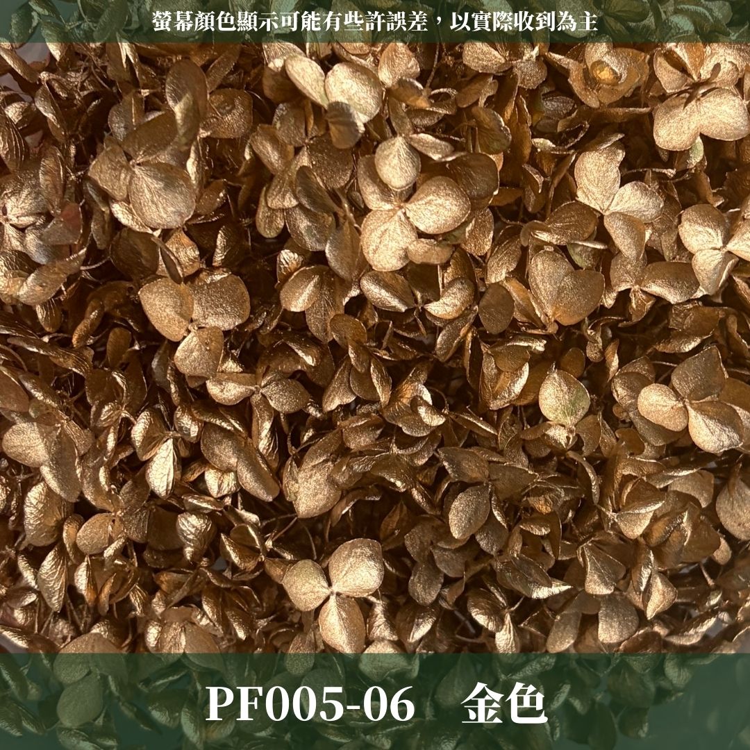 PF005 安娜繡球單支｜ A級 大份量 帶梗紫陽花 永生花 不凋花 乾燥花 DIY花材 拍攝道具 漸變花藝繡球 浮游花