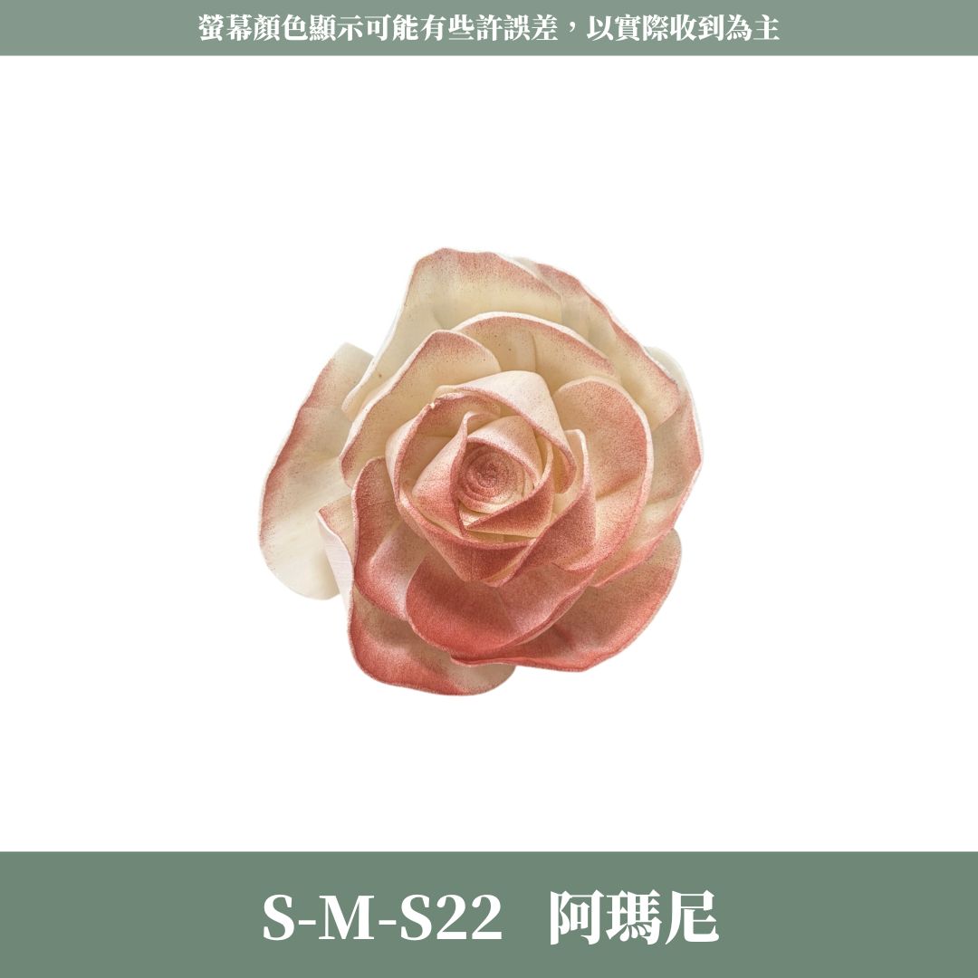 S-M 8CM天使玫瑰索拉花｜五入原裝｜通草花 擴香花 天使玫瑰 進口玫瑰 乾燥花禮禮物 畢業花束DIY 乾燥花 永生花
